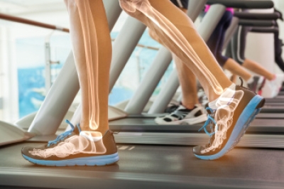 The Synergy of Foot Bones and Muscles in Running